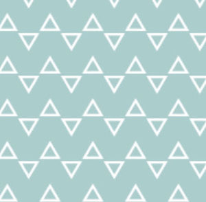 Meet your Posher, Ava deluca